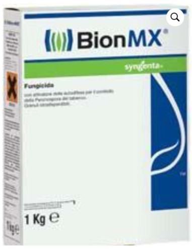 BION MX KG.1