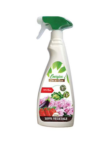 INSETTICIDA LIQUIDO OLIO DI NEEM SPRAY ML.500