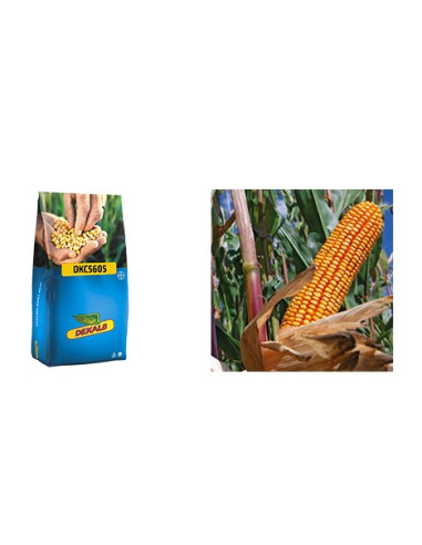 MAIS DA SEME DEKALB 5605- 50000 SEMI