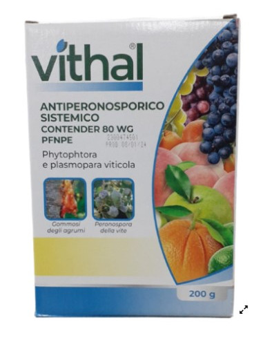 VITHAL ANTIPERONOSPORICO SISTEMICO PFnPE GR 200