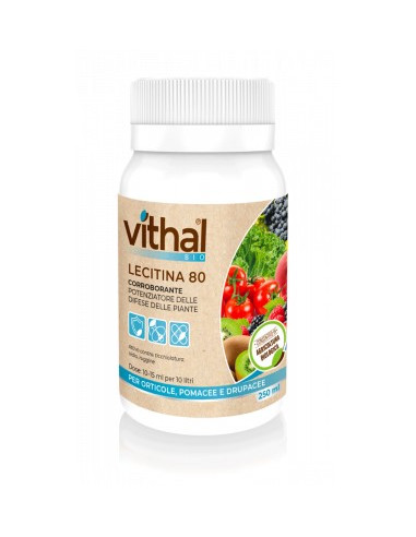 VITHAL BIO LECITINA 80 ML.250