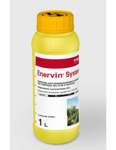 ENERVIN SYSTEM LT.1 Miglior Prezzo